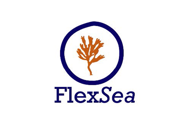 FlexSea Logo